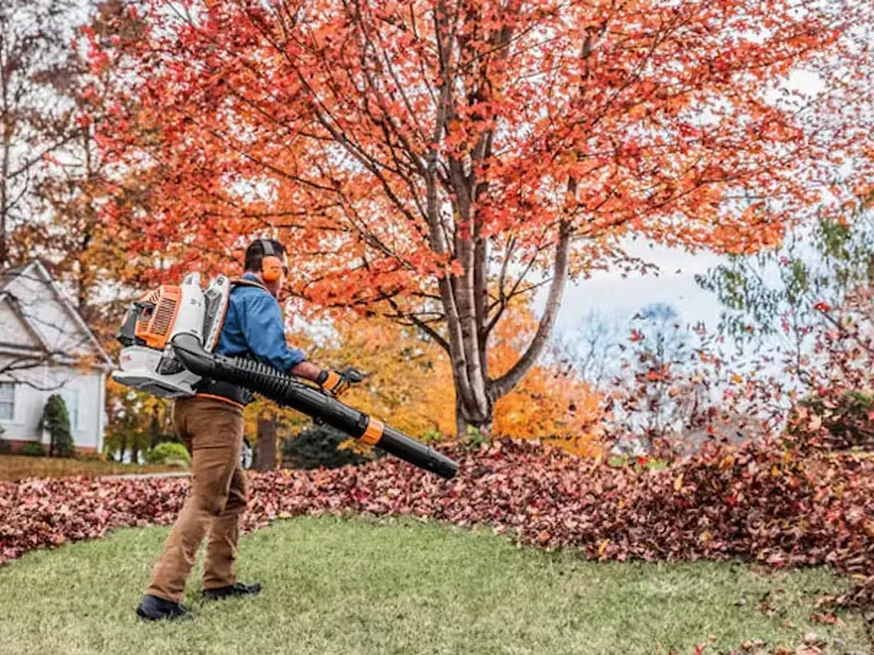Worker with a backpack leaf blower clearing red leaves from a lawn